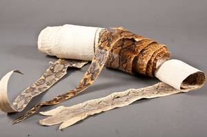 Slangeskin pytonslanger