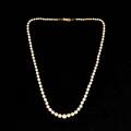 Pärlcollier