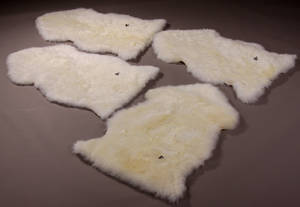 New Zealandsk lammeskind, hvid 4