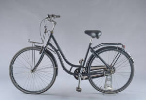 Raleigh, damecykel.
