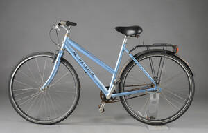 Raleigh, damecykel.