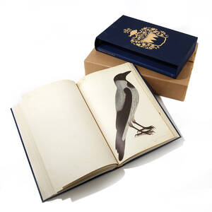 Rudbeck´s Book of Birds in facsimile