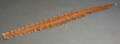 Python-skind, ca. 1900-tallets midte, L. 380 cm 