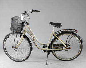 Raleigh, dame cykel 5783
