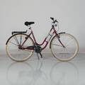 CYKEL dam Action 28