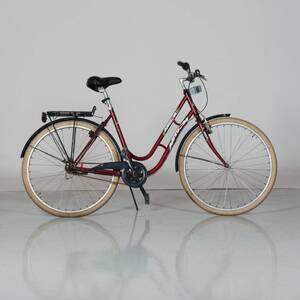 CYKEL dam Action 28