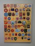 Militära tygmärkenpatches, inramat