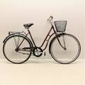 Damcykel