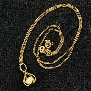 Halsband