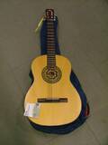 Gitarr med fodral