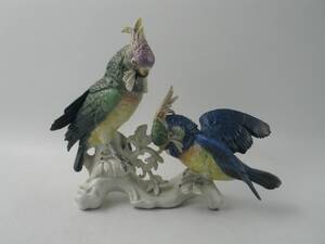 Figuringrupp, papegojor ENS