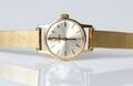 OMEGA, DAMARMBANDSUR