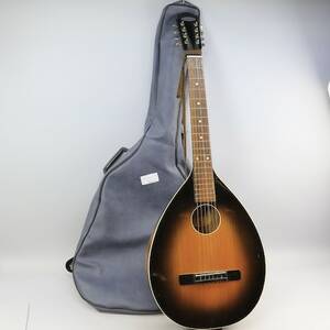 Mandolingitarr Landola