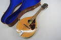 Mandolin Levin