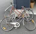 Damcyklar