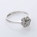 Ring carmosémodell