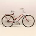 Damcykel