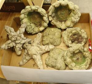 Trädgårdsdekorationer