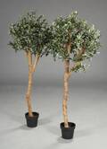 Par kunstige træer, oliven 2