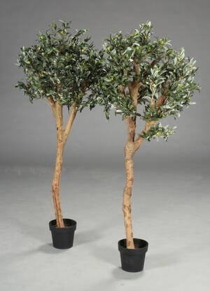 Par kunstige træer, oliven 2