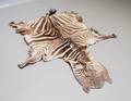 Zebraskind