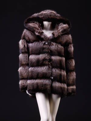 Pels af vaskebjørn. Str. ca. 42