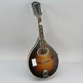 Mandolin Levin