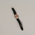 Citizen Automatic