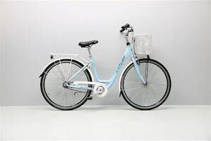 Damcykel