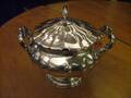 Terrin, Silver