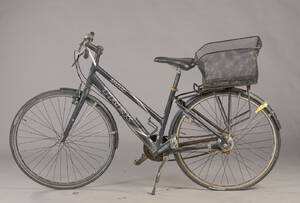 Trek, damecykel. 6599