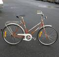 Damcykel
