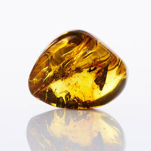 Bärnsten med inneslutning