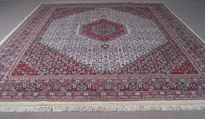 Kashmir Bidjar 296 x 242 cm