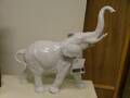 Elefant, Tyskland