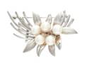 BROSCH