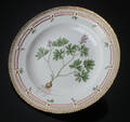 Flora danica middagstallerken 203549 1. sort.