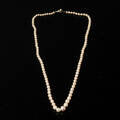 Pärlcollier