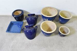 Parti krukor blåa, högsta 31 cm