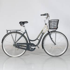 DAMCYKEL Crescent Classic