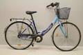 Damcykel