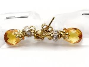 Örhängen 18K 6,6g