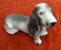 hund C19