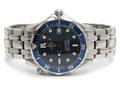 Omega Seamaster professional