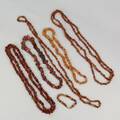 Halsband