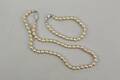 Halsband