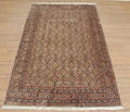 Kashmir Bidjar i All Over 197 x 307 cm
