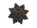 BROSCH