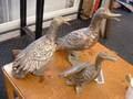 Ankor, 3 st
