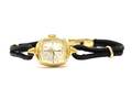 Damur, Omega 18K